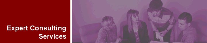 Internet Consulting and Web Business Strategic Planning & Development