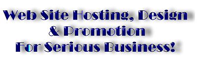 Web Hosting, Design, & Promotion for Serious Business