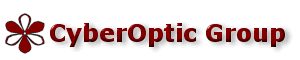 CyberOptic Group Online Marketing & Promotion, Web Site Design, and Internet Consulting