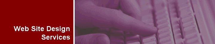Web Site Design Services: Let Our Professional Web Designers Build You a Custom Website!