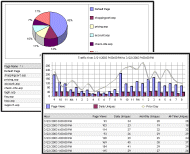 Web traffic statistics, click and keyword reporting and return on investment analysis for pay per click and online web site promotion and marketing campaigns.